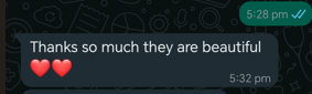 10 reviews